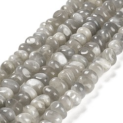 Natural Grey Moonstone Beads Strands, Nuggets, Tumbled Stone, 4~9x8~11.5x7~10mm, Hole: 1mm, about 54~58pcs/strand, 15.12~15.35 inch(38.4~39cm)(G-G053-C10-01)