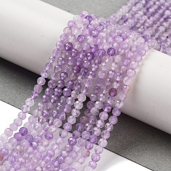 Natural Amethyst Beads Strands, Faceted, Round, 3mm, Hole: 0.6mm, about 135pcs/strand, 15.35 inch(39cm)