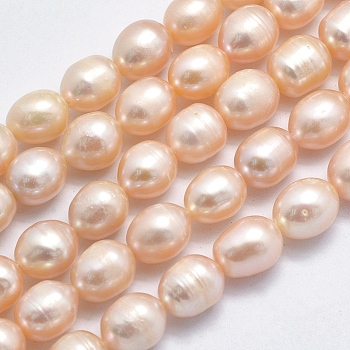 Natural Cultured Freshwater Pearl Beads Strands, Rice, Sandy Brown, 9~11x8.5~9mm, Hole: 0.8mm, about 32pcs/strand, 13.78 inch