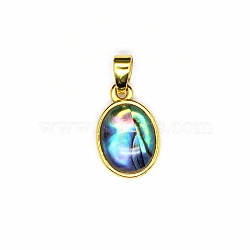 Natural Abalone Shell Charms, Oval Charms, with Metal Findings, Golden, 14x9x4mm(PW-WG4179D-01)