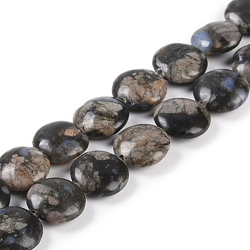 Natural Glaucophane Beads Strands, Flat Round, 12x5mm, Hole: 1mm, about 34pcs/strand, 15.94 inch(40.5cm)