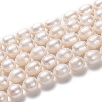 Natural Cultured Freshwater Pearl Beads Strands, Rice, Bisque, 12~14x10~11mm, Hole: 0.6mm, about 29pcs/strand, 13.78 inch(35cm)