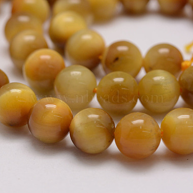 Natural Tiger Eye Bead Strands(G-P230-08-E-10mm)-3