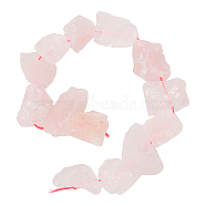 Rough Raw Natural Rose Quartz Beads Strands, Nuggets, 11~25x11~20mm, Hole: 1.2mm, about 12~15pcs/strand, 7.48 inch~7.87 inch(19~20cm)(G-OC0003-74)