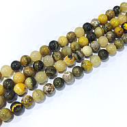 Natural Bumblebee Jasper Beads Strands, Round, 8mm, Hole: 1mm, about 49pcs/strand, 15.55''(39.5cm)(G-F691-02B-01)