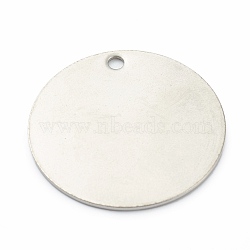 Tarnish Resistant 304 Stainless Steel Pendants, Stamping Blank Tag, Flat Round, Stainless Steel Color, 25x1mm, Hole: 1.5mm(STAS-H157-01C-P)