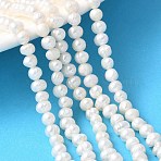 Natural Cultured Freshwater Pearl Beads Strands, Potato, Grade A++, Snow, 4~5mm, Hole: 0.6mm, about 84~87pcs/strand, 14.09''~14.96''(35.8~38cm)(PEAR-I007-07Q-03C)