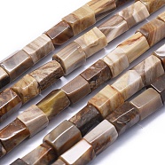 Natural Petrified Wood Beads Strands, Hexagonal Prism, 11.5~15x9~12mm, Hole: 0.8mm, about 27~28pcs/strand, 15.1 inch~15.5 inch(38.5~39.5cm)(G-K293-J02-E)