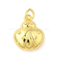 Beetle Rack Plating Brass Pendants Charms, with Jump Rings, Lead Free & Cadmium Free, Real 18K Gold Plated, 12.5x10.5x4mm, Hole: 3mm(KK-S396-56G)