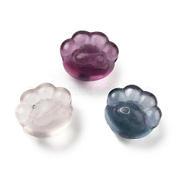 Natural Fluorite Beads, Paw Print, 15~15.5x15x9mm, Hole: 1.5mm(G-H007-02C)