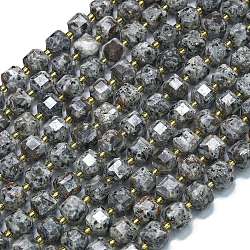 Natural Fluorescent Syenite Rock Beads Strands, with Seed Beads, Faceted Table Cut Cube, 8x8x8mm, Hole: 0.6mm, about 38pcs/strand, 15.35''(39cm)(G-K389-A39-01)