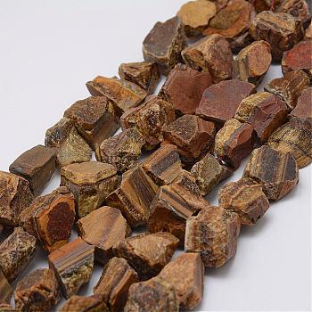 Raw Rough Natural Tiger Eye Beads Strands, Nuggets, 15~20x14~18x10~14mm, Hole: 1mm, about 25pcs/strand, 14.9 inch(38cm)