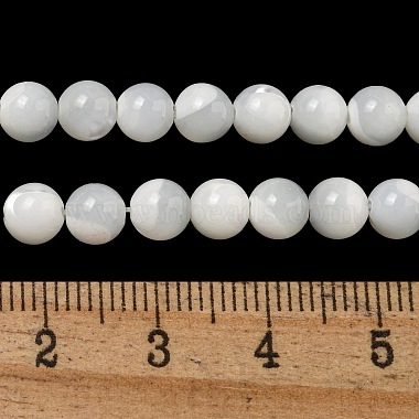 Natural Sea Shell Beads Strands(SSHEL-K013-5.5mm-A)-2