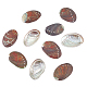 Natural Paua Shell Display Decorations(DJEW-WH0042-148A)-1