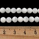 Natural Sea Shell Beads Strands(SSHEL-K013-5.5mm-A)-2