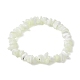 Natural Trochus Shell Chip Beaded Stretch Bracelets for Women Men(BJEW-JB10549)-1