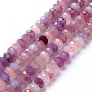 Natural Plum Blossom Tourmaline Beads Strands, Faceted, Rondelle, 5x3.5mm, Hole: 0.9mm, about 106~107pcs/strand, 15.35~15.55 inch(39~39.5cm)(G-G991-B02)