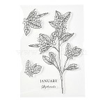 Silicone Clear Stamps, for Card Making Decoration DIY Scrapbooking, Flower Pattern, 20.5x14.5x0.3cm(DIY-A013-15)
