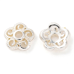 Flower Brass Bead Caps, 925 Sterling Silver Plated, 6x6x2mm, Hole: 1.4mm(KK-K378-43S)