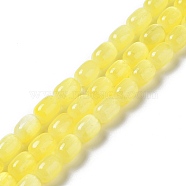 Natural Selenite Beads Strands, Dyed, Drum, Yellow, 12x8mm, Hole: 1mm, about 32pcs/strand, 15.51~15.55 inch(39.4~39.5cm)(G-F750-07)