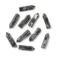 Natural Larvikite Pointed Pendants, Faceted, Bullet, 30~33x8~9mm, Hole: 1.4~1.6mm(G-D460-01A)