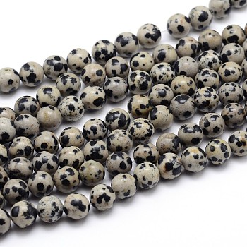 Natural Dalmatian Jasper Round Bead Strands, 8mm, Hole: 1mm, about 48pcs/strand, 15.6 inch