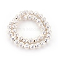 Electroplated Non-magnetic Synthetic Hematite Beads Strands, Frosted, Faceted, Round, Silver Plated, 10mm, Hole: 1.4mm, about 42pcs/strand, 15.74 inch(40cm)(G-P401-02S-10mm)