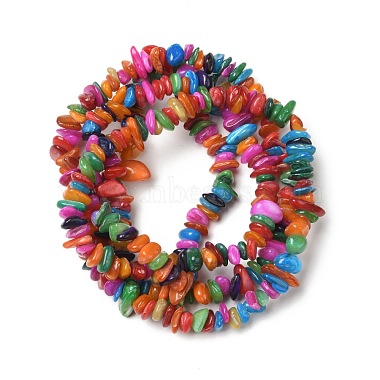 Natural Shell Beads Strands(BSHE-G029-01A)-2