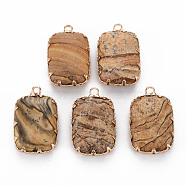 Natural Picture Jasper Pendants, with Golden Brass Findings, Rectangle, 22x14x6mm, Hole: 1.8mm(G-S359-290B)