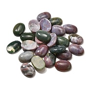 Natural Indian Agate Gemstone Cabochons, Oval, 25x18x7mm(X-G-T020-18x25mm-27)