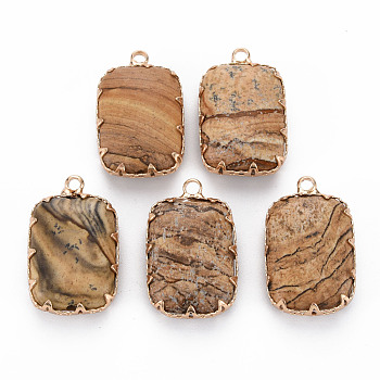 Natural Picture Jasper Pendants, with Golden Brass Findings, Rectangle, 22x14x6mm, Hole: 1.8mm