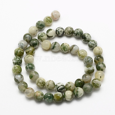 Chapelets de perles en agate d'arbre naturelle(G-K194-10mm-02)-3