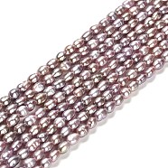 Natural Cultured Freshwater Pearl Beads Strands, Rice, Grade 3A, Rosy Brown, 4.5~5.5x3~3.5mm, Hole: 0.5mm, about 70~71pcs/strand, 13.78''(35cm)(PEAR-E016-148)