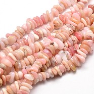 Natural Morganite Chip Beads Strands, 5~14x4~10mm, Hole: 1mm, about 15.5 inch~16.1 inch(G-E271-85)