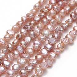 Natural Cultured Freshwater Pearl Beads Strands, Two Sides Polished, Thistle, 3.5~4.5x3.5~4x2.5mm, Hole: 0.5mm, about 102~108pcs/strand, 13.58~13.78''(34.5~35cm)(PEAR-A005-05J-01)
