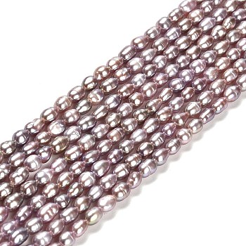 Natural Cultured Freshwater Pearl Beads Strands, Rice, Grade 3A, Rosy Brown, 4.5~5.5x3~3.5mm, Hole: 0.5mm, about 70~71pcs/strand, 13.78''(35cm)
