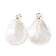 Natural Trochid Shell/Trochus Shell Pendants, with Real 18K Gold Plated Copper Wire, Teardrop, Creamy White, 31.5x18x4mm, Hole: 3.7mm(PALLOY-JF01393)