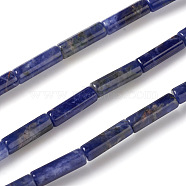 Natural Sodalite Beads Strands, Column, 13~14x4mm, Hole: 1mm, about 30pcs/strand, 15.9 inch(40.5cm)(G-F247-30)
