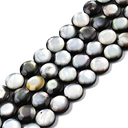 Natural Black Lip Shell Beads Strands, Flat Round, 10x4mm, Hole: 1mm, about 40pcs/strand, 16.06 inch(40.8cm)(SSHEL-N003-152)