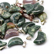 Moon Natural Indian Agate Pendants, with Platinum Tone Brass Findings, 21~24x12~14x5~6mm, Hole: 2x7mm(X-G-Q369-05)