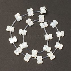 Natural White Shell Mother of Pearl Shell Beads, Bear, Creamy White, 12x9x4mm, Hole: 0.8mm, about 20pcs/strand, 14.76''(37.5cm)(BSHE-B005-06)
