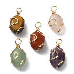 Natural Mixed Gemstone Copper Wire Wrapped Pendants, Oval Charms, Golden, 19~20x10~10.5x6~6.5mm, Hole: 3.5mm(PALLOY-JF02251)