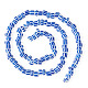 2Strands Handmade Lampwork Beads Strands(BLOW-TADJ0001-01F)-1