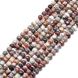 Natural Gemtone Beads Strands, Flat Round, 5.5~6x3~6mm, Hole: 1mm, about 62pcs/strand, 15.55 inch(39.5cm)(G-F715-069)