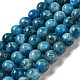 Natural Apatite Beads Strands(G-S150-18-8mm)-2