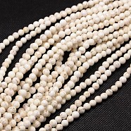 Natural Magnesite Beads Strands, Faceted, Round, Floral White, 3mm, Hole: 0.5mm, about 135pcs/strand, 15.74 inch(TURQ-L017-3mm-02A)