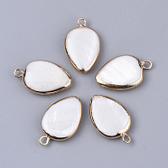 Edge Plated Freshwater Shell Pendants, for DIY Jewelry Making, with Golden Plated Brass Loops and Half Drilled, Teardrop, Seashell Color, 20~23x13~14x4~6mm, Hole: 0.9~1.8mm(X-SHEL-S276-37)