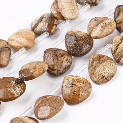 Natural Picture Jasper Beads Strands, Top Drilled Beads, Faceted, Teardrop, 13x13x5mm, Hole: 0.6mm, about 30pcs/strand, 13.98 inch(35.5cm)(G-G821-04A)
