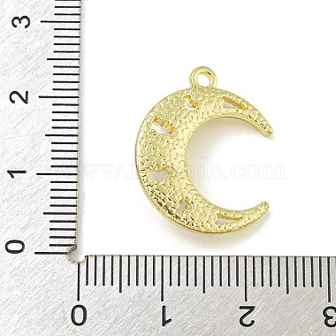 Zinc Alloy Acrylic Pearl Pendants(PALLOY-F310-06G-02)-3