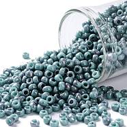 TOHO Round Seed Beads, Japanese Seed Beads, (1206) Opaque Turquoise Amethyst Marbled, 8/0, 3mm, Hole: 1mm, about 1110pcs/50g(SEED-XTR08-1206)